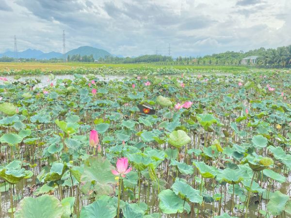 Private Tour Explore Real Countryside Of Nha Trang
